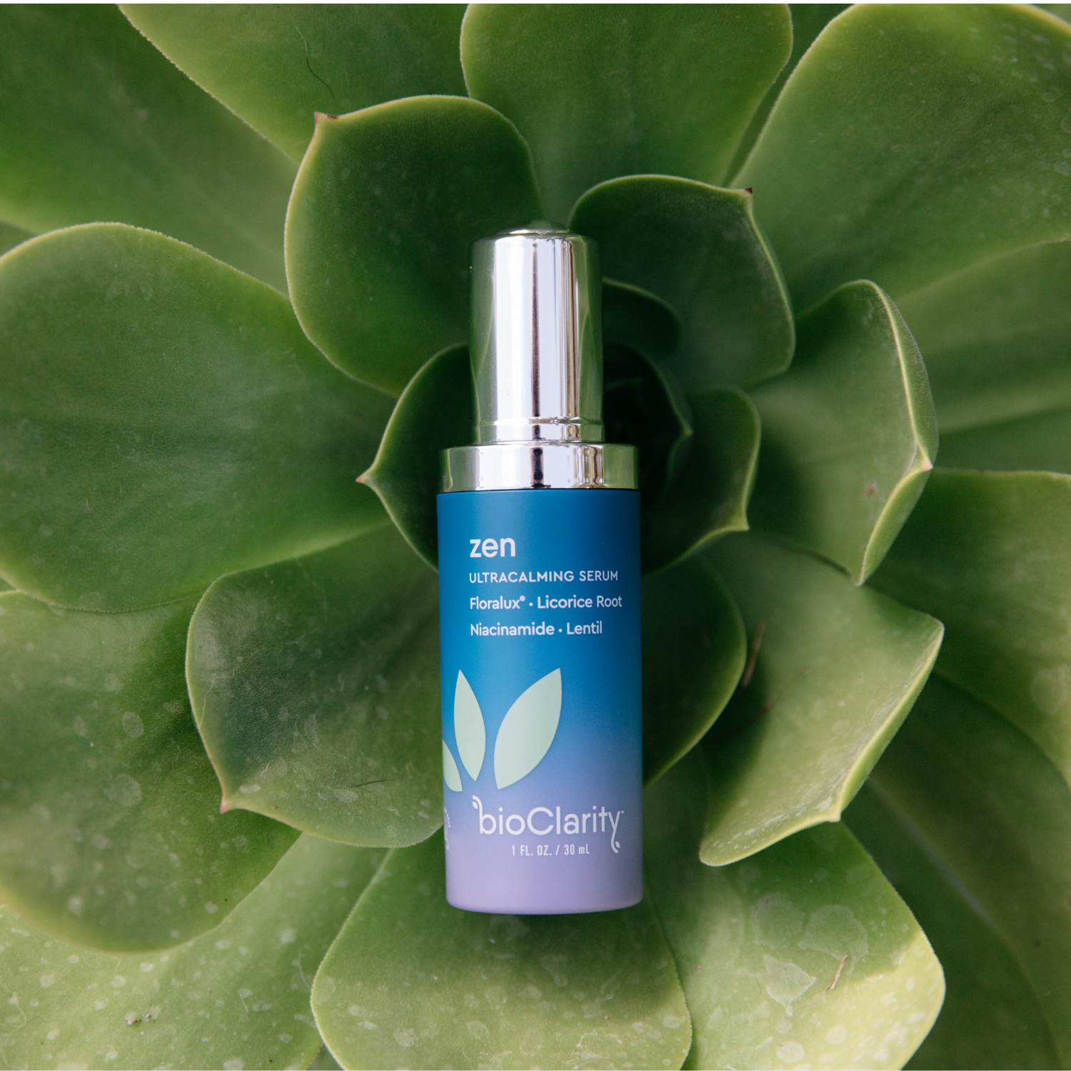 Zen Ultra-Calming Serum